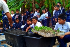 Bolanos-Growing-Connection-Ecohuerto-Planting-5
