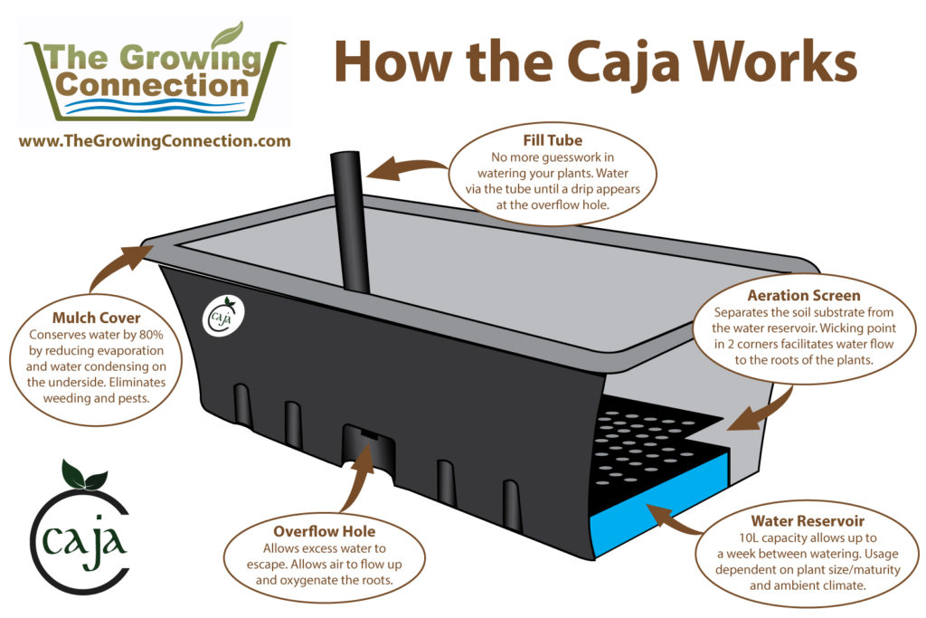 How-the-Caja-Works