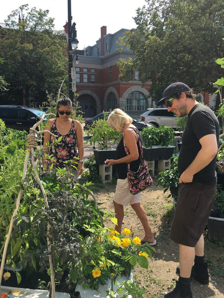 Hurontario popup garden 5