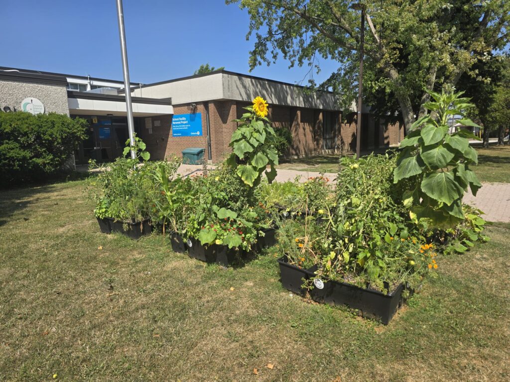 Beverley Heights MS Caja Garden Aug 2025