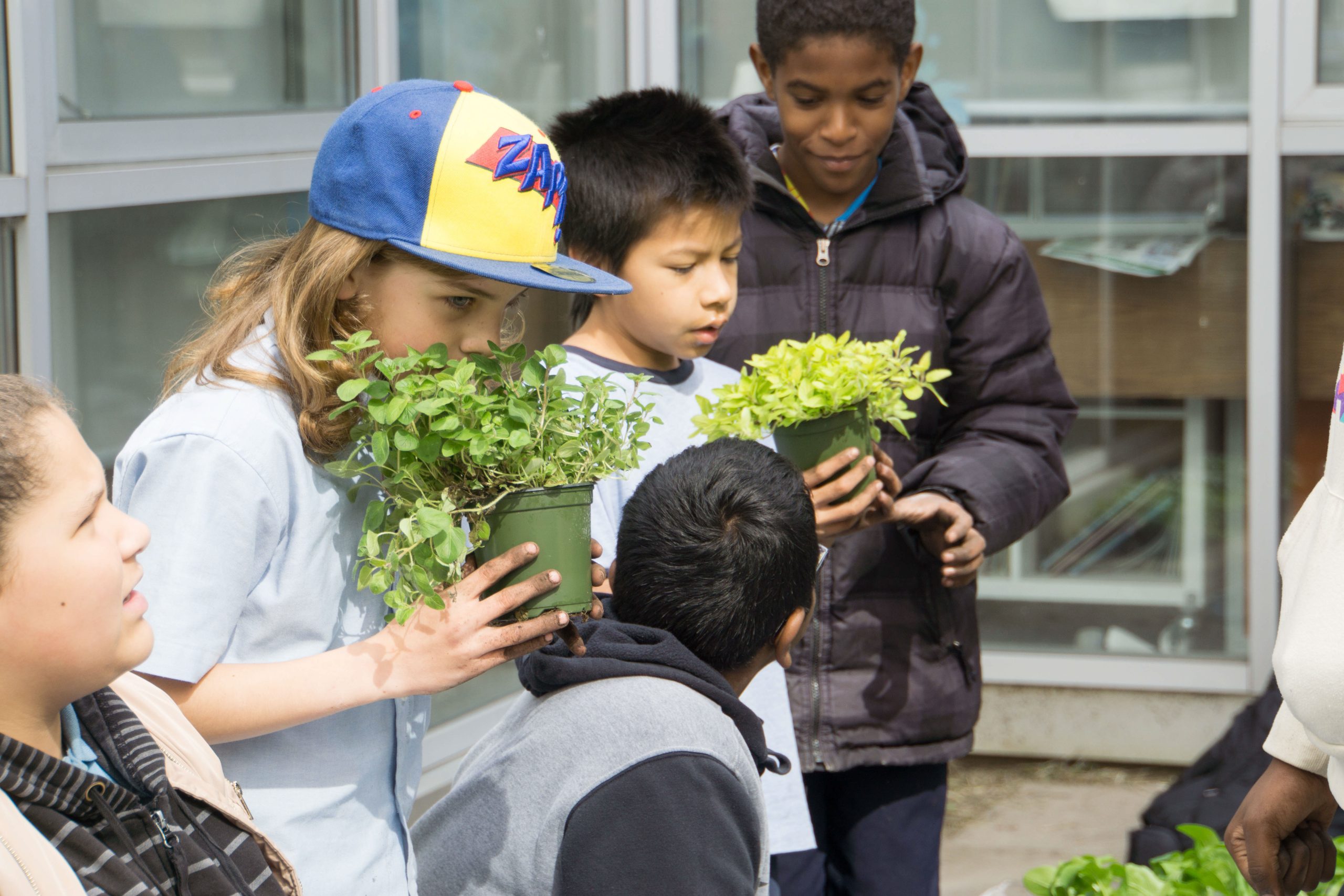 kids smelling herbs