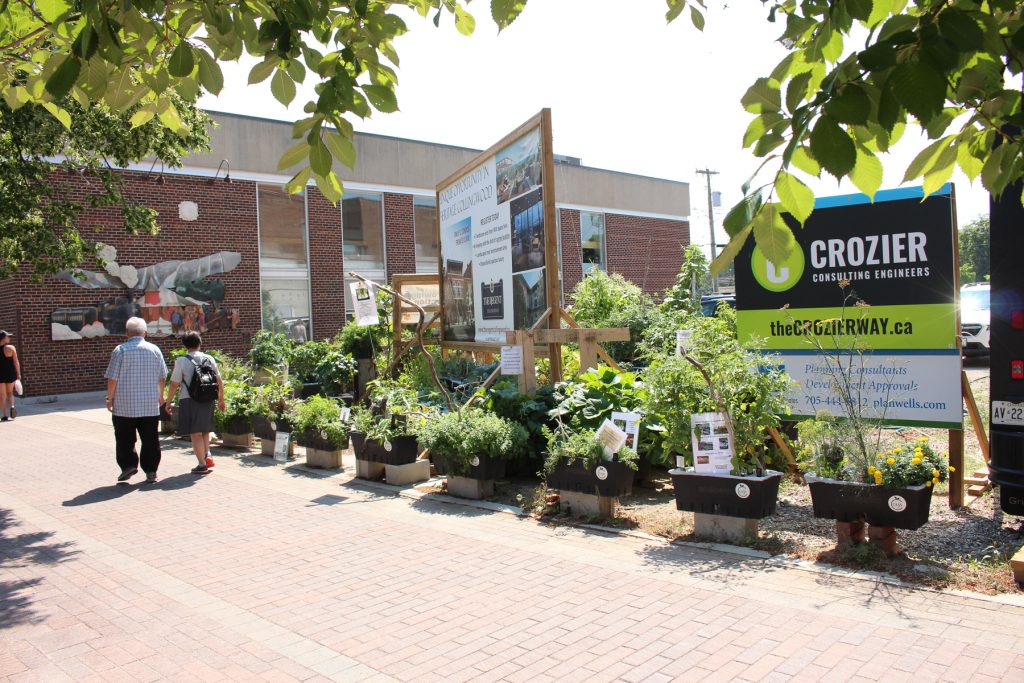 Hurontario garden with sign